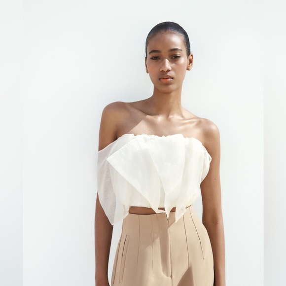 Zara Tops - Zara organza top